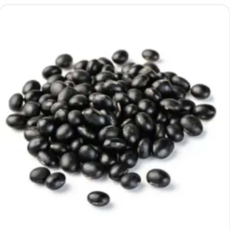 Frijol Negro