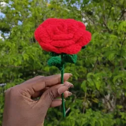 Eterna "Rose Crochet"
