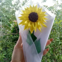 Girasol de cinta