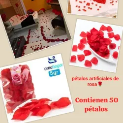 Pétalos de Rosas 