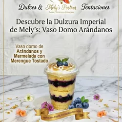 Vaso domo de Arándanos