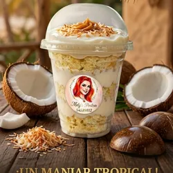 Vaso domo de coco