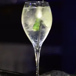 GIN [ TONIC y FIST ]