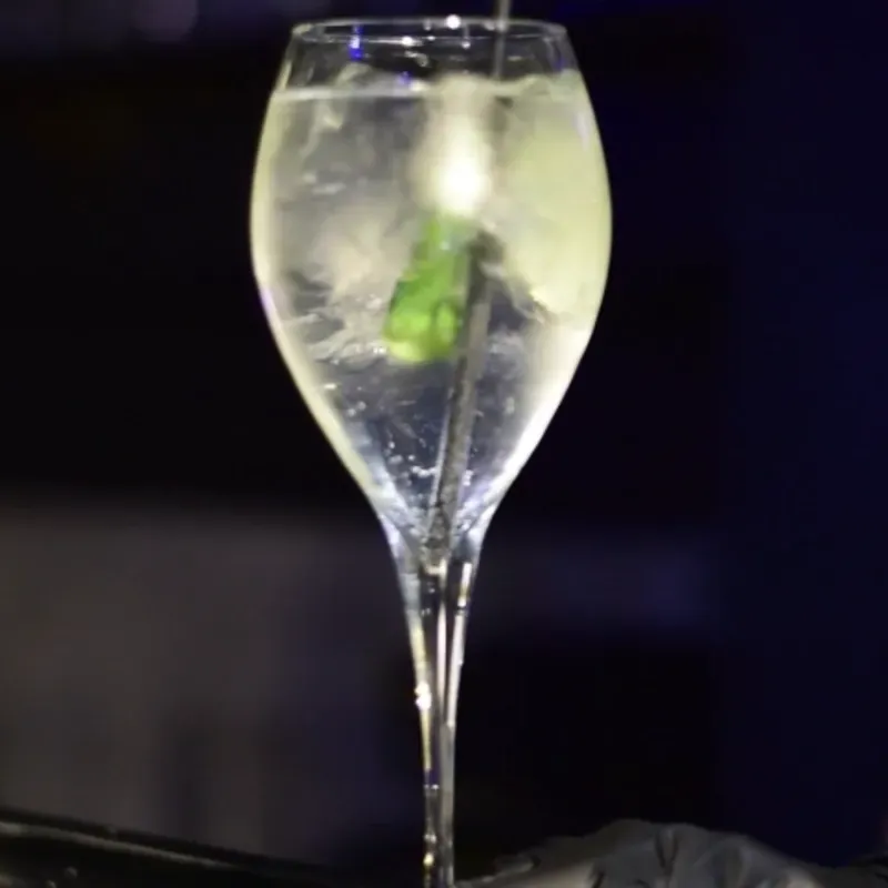 GIN [ TONIC y FIST ]