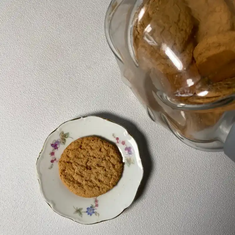 Galleta de avena natural 
