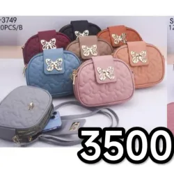 Carteras 