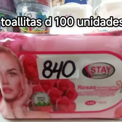 Toallitas húmedas 100 unidades 