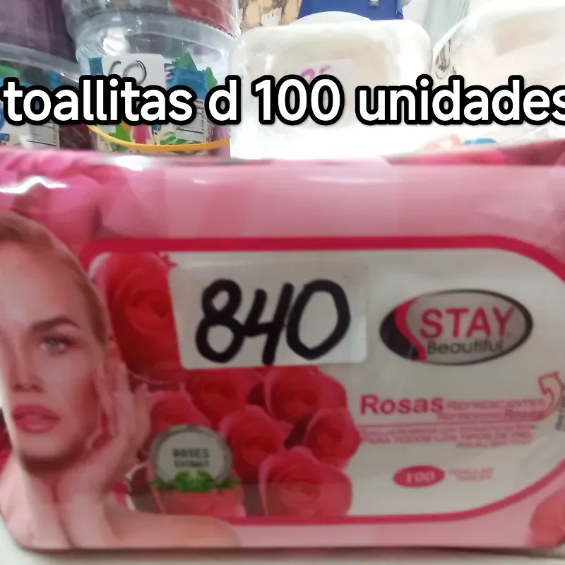 Toallitas húmedas 100 unidades 