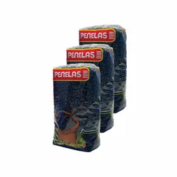 Frijol Negro Penelas (500g)