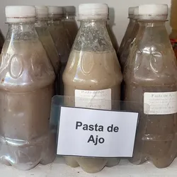 Pasta de ajo 370g