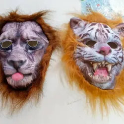 Mascara para Disfraz de Niño