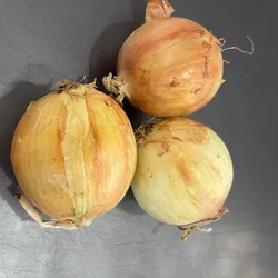 CEBOLLA BLANCA IMPORTADA 