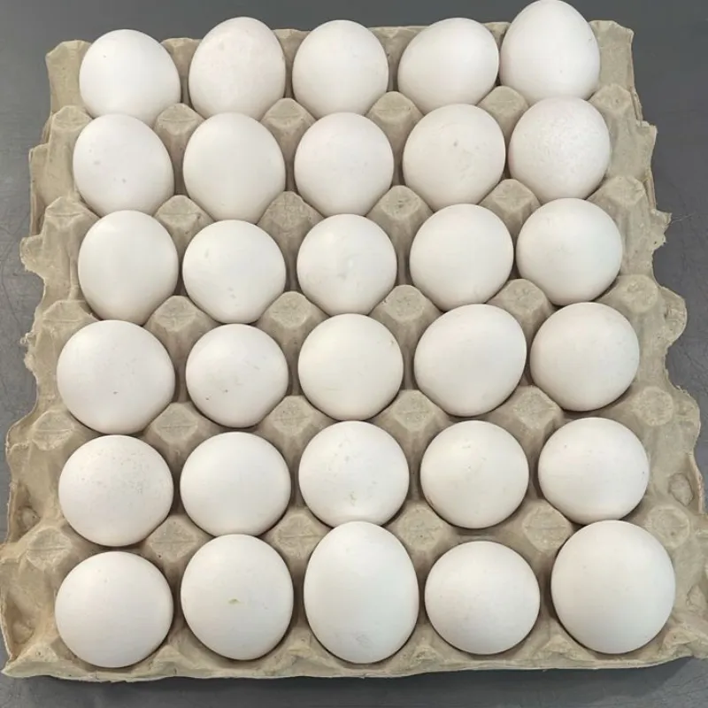HUEVOS