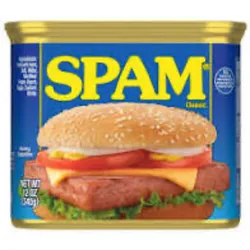 SPAM