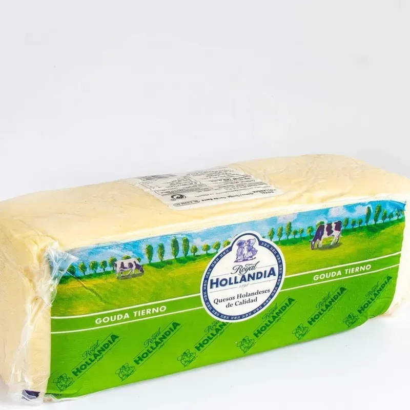 Gouda Hollandia tierno