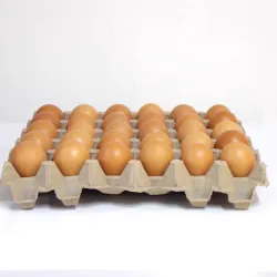 Huevos 