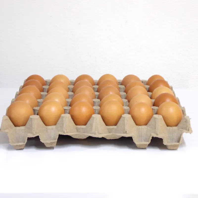 Huevos 