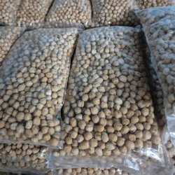 Garbanzo