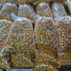 Maiz seco en grano