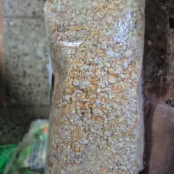 Rollón