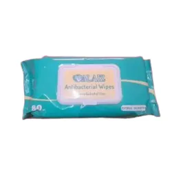 Toallitas Húmedas Alaiz (80 unidades)