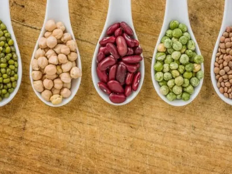 Cereales - Legumbres 