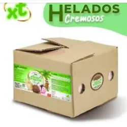 Helado caja 4 L chocolate