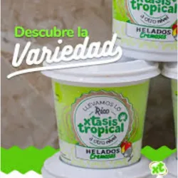 Helado mantecado 400 ml