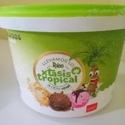 Helado vainilla con bizcocho de 3 lt