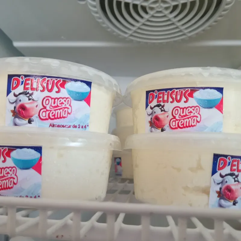 Queso crema 220 g