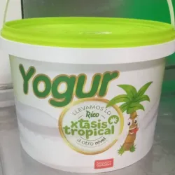 Yogurt 3 lt guanábana 