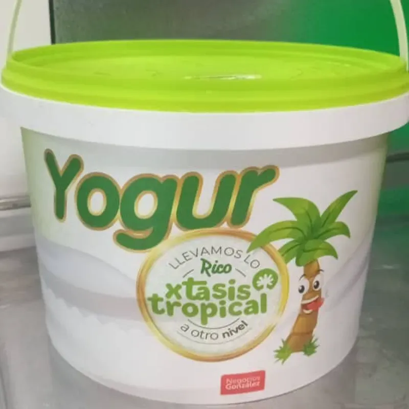 Yogurt 3 lt guanábana 