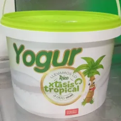 Yogurt 3 lt natural sin azúcar 