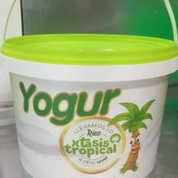 Yogurt fresa 3 litros