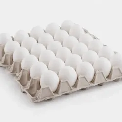 Cartón de Huevos
