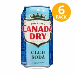 Club Soda 355ml