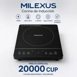 Cocina de inducción