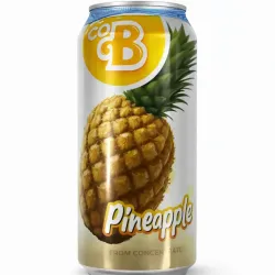 Jugo de lata piña 330ml
