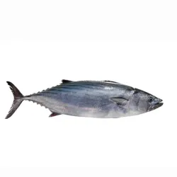 Pescado Bonito 3.14 kg 