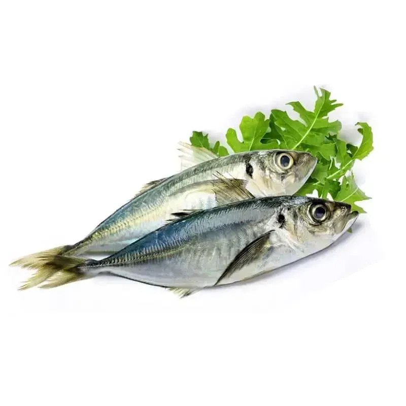 Pescado Jurel 1.02kg
