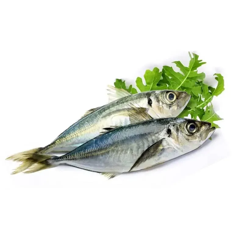 Pescado Jurel 1.20 kg