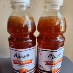 Miel de abejas