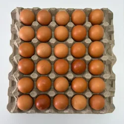 Carton de Huevos Orgánicos 