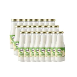 Nezka Néctar de Guayaba – Caja de 24 unidades – 250 ml c/u