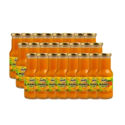 Nezka Néctar de Mango – Caja de 24 unidades – 250 ml c/u