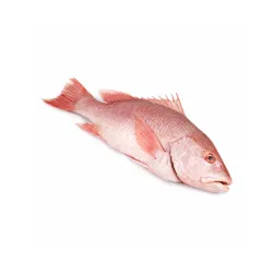 Pescado Crudo Entero (Pargo o Cubera) 5 a 6 kg