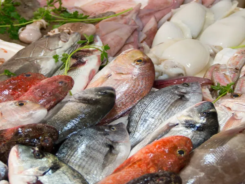 Pescados y Mariscos 