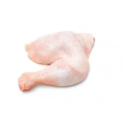 Pollo KG