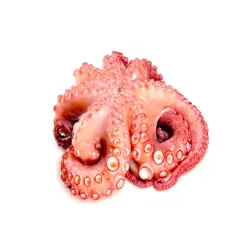 Pulpo (1 kg) – Al vacío