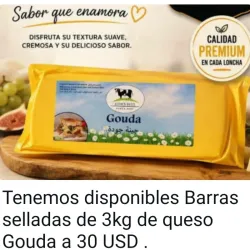 Queso Gouda 3.2kg